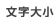 文字大小