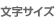 文字サイズ