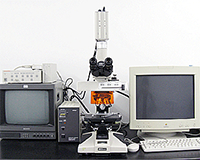 蛍光顕微鏡