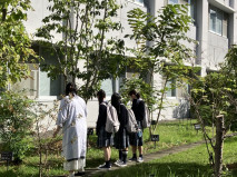 薬草園見学の様子