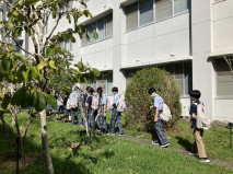 薬草園見学の様子