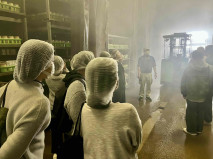 ③食用きのこ栽培工場 見学研修