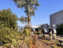 薬草園見学の様子