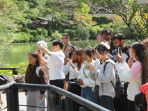 青い熱湯に見入る留学生