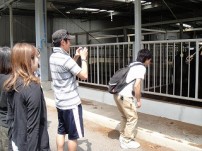 【国際観光学科】平戸牛ブランド化事業の一環で本学学生が平戸市を訪れました。