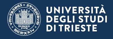 トリエステ大学(イタリア共和国)